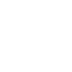 Manipulador Ergonômico
